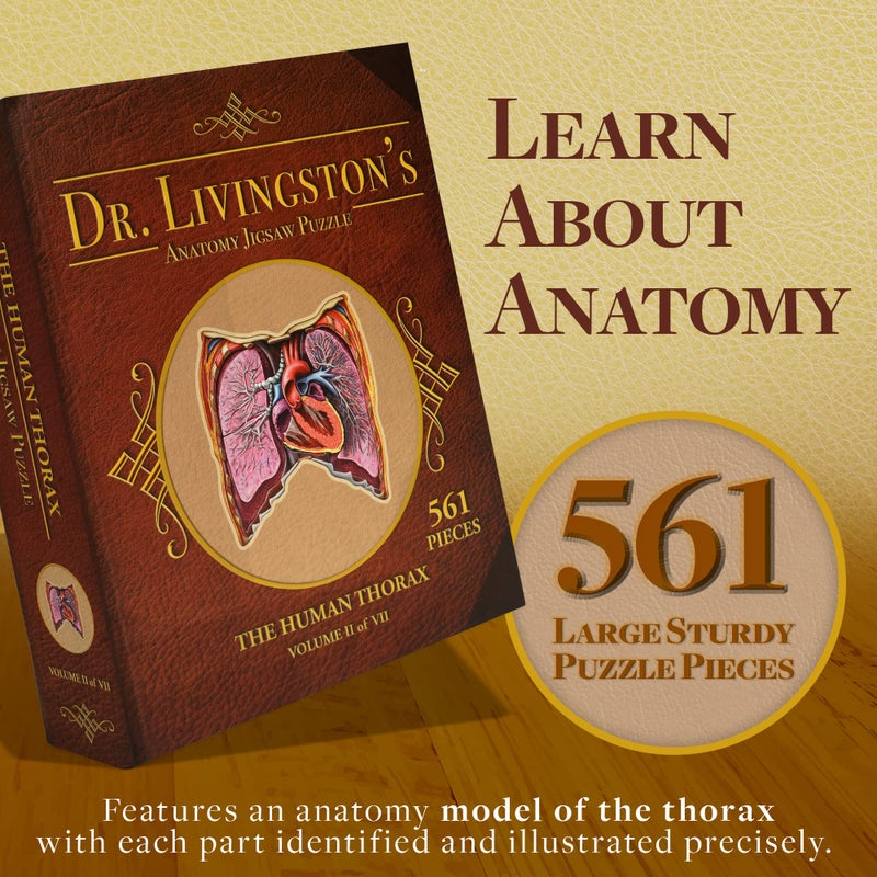 Genius Games Human Thorax Anatomy Puzzle - Adult Jigsaw Puzzles Unique Gifts for Kids, Nurses, Doctors, Medical Students, Educational Science - 411 Piece Teen Floor Puzzle - Genius Games Dr. Livingston Body Model - Image 2